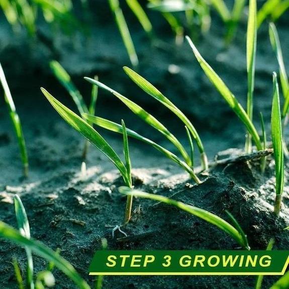Biodegradable Grass Seed Mat Limited Stock