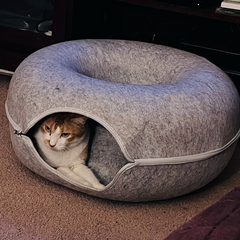 Cattasaurus™️ Peekaboo Cave