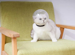 Cat Grooming Muzzle: Anti-Bite, Breathable Mask for Cat Bathing & Grooming