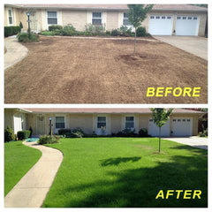 Biodegradable Grass Seed Mat Limited Stock