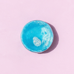 Blueberry Fields Shampoo & Conditioner Bundle