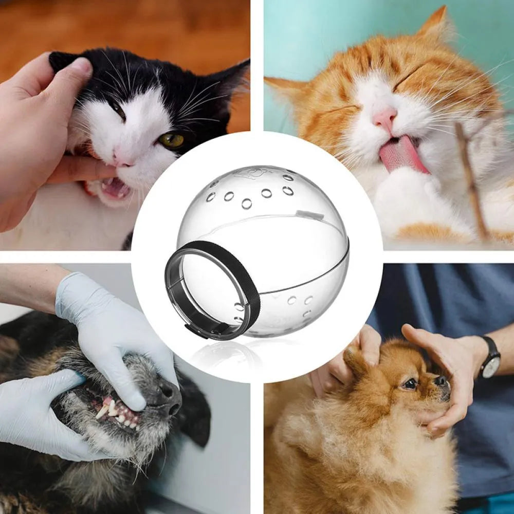 Cat Grooming Muzzle: Anti-Bite, Breathable Mask for Cat Bathing & Grooming