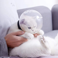 Cat Grooming Muzzle: Anti-Bite, Breathable Mask for Cat Bathing & Grooming