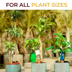 10-Pack Natural Self Watering Spikes - Terracotta - Automatic Plant Waterer f...